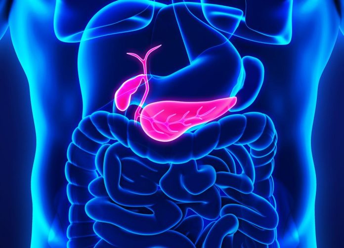 pancreatic-cancer-affects-the-pancreas