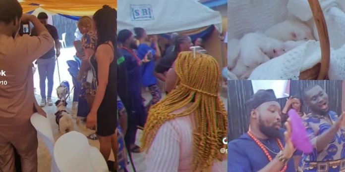 Nigerian man throws lavish naming ceremony for his dog (Video)