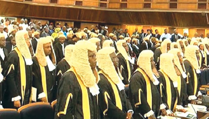 Cross section of judges