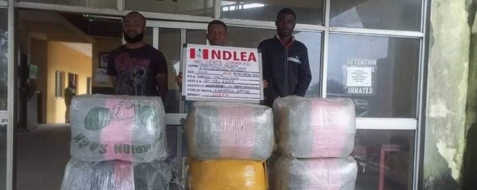 NDLEA raids drug warehouse in Lagos recovers N4.8bn worth of opioids