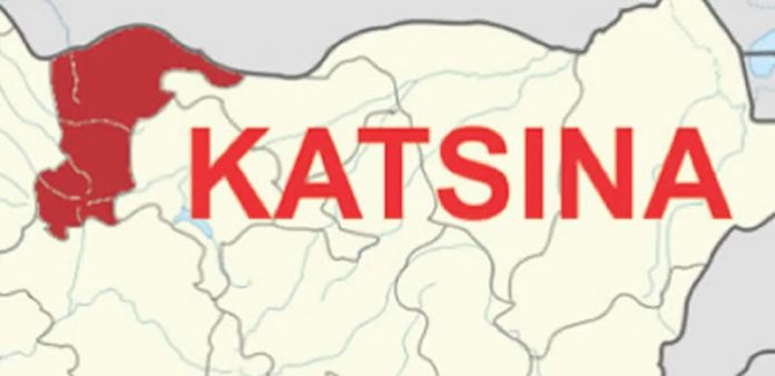 Katsina map logo