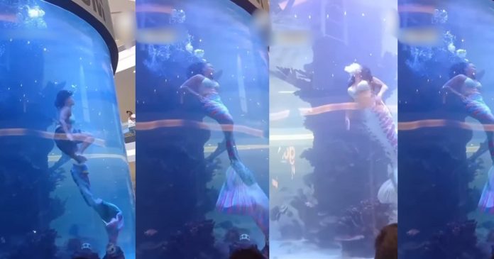Professional Mermaid's Tail Gets Trapped In Shopping Mall Aquarium As She Struggles For Air (VIDEO)