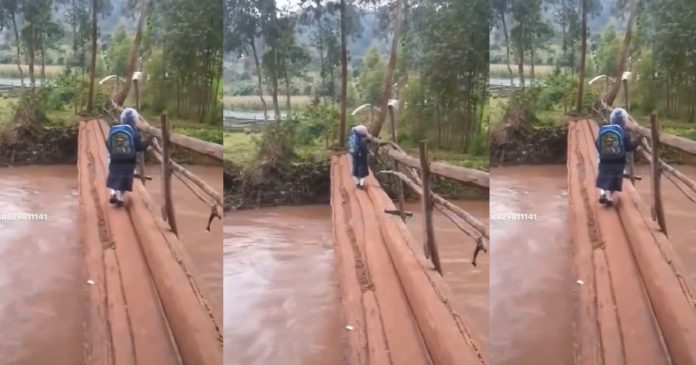 Viral Video Of Brave Little Girl Crossing Dilapidated Bridge Sparks Debate Online (WATCH)