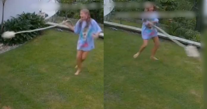 Video Of 12-Year-Old Girl Who Rescued Her Pet Guinea Pig from Snake's Jaws Goes Viral (WATCH)