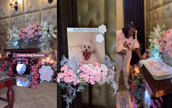 Mixed Reactions Trail In Online As Man Organizes Elaborate Funeral For His Beloved Dog (VIDEO)