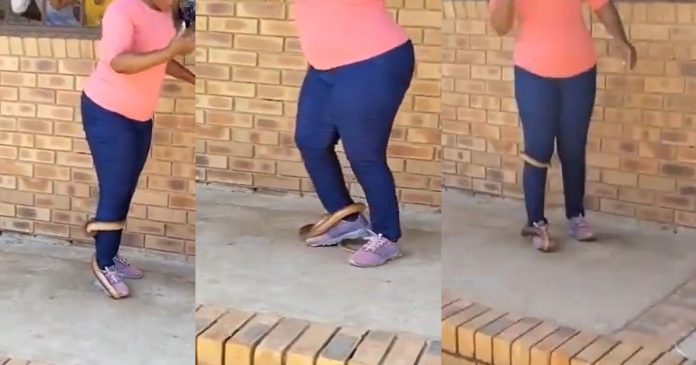 Fearless Woman Stuns Netizens Online As She Crúshǝs Snake's Head With Her Feet (WATCH)