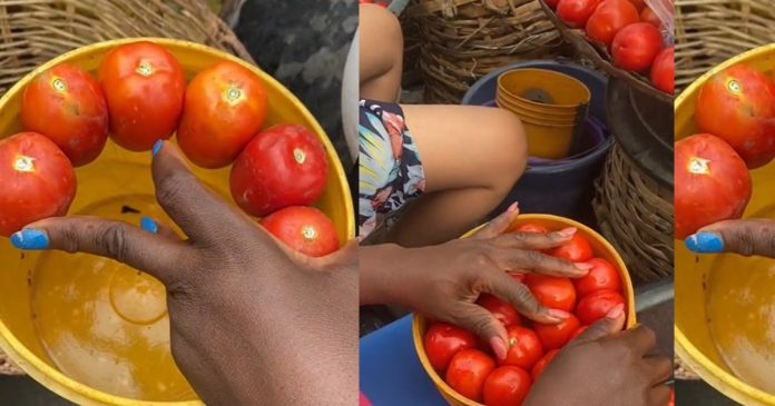 Food vendor shows off the cünning method tomato seller ch£at customers to make sales (WATCH)