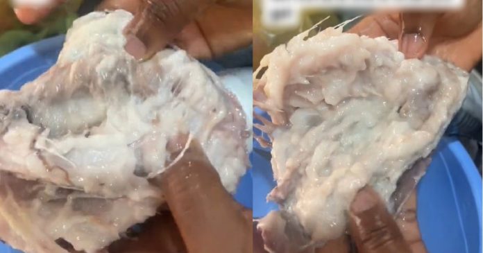 Lady shares what became of the Titus fish she bought at the market after defrosting (VIDEO)