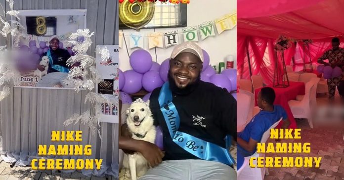 Nigerian Man Throws Lavish Naming Ceremony For His Dog And Her 7 Newborn Pups (WATCH)