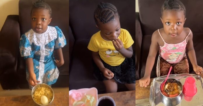 Little girl mǝlts heart as she praises her aunt for feeding her sumptuous meals daily (WATCH)