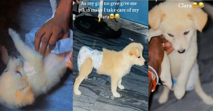 Nigerian Man Coddles His Puppy After His Girlfriend Refused To Get Pregnant For Him (VIDEO)