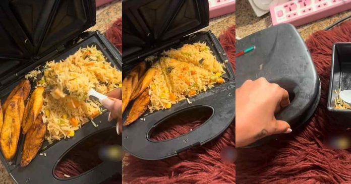 "I'll eat directly from the toaster" – Lady devises an unconventional method to reheat food by using a toaster (WATCH)