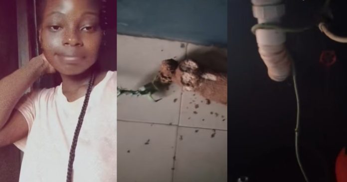 Lady shows what happened to the tuber of yam she left in her kitchen after she travelled for two weeks (WATCH)