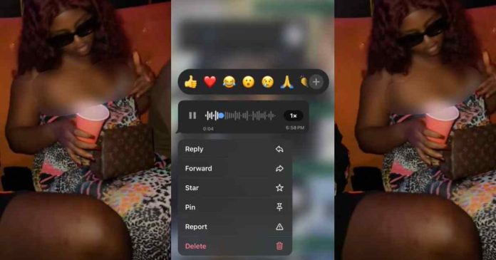 "Don't you ever message him again" – Lady receives an unexpected response from her brother's girlfriend to a message she sent him (WATCH)