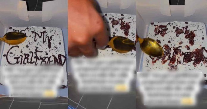 "I promise I’m old enough, I just didn’t know how they’ll react" – Lady nervously erases proposal message from girlfriend’s cake before taking it home to avoid her parents' reaction (WATCH)