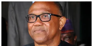 NDC primaries: Peter Obi faces intense pressure in Anambra, other states