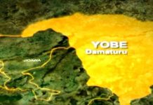 Hunters group accuses police officers of assault on member in Yobe