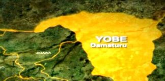 Hunters group accuses police officers of assault on member in Yobe