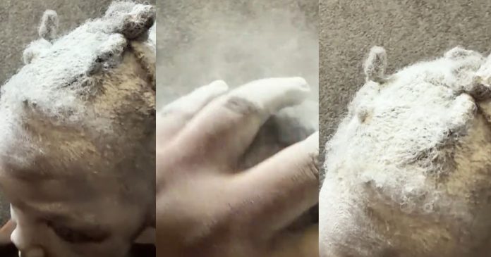 "What is the meaning of this?" – Nigerian mum fumes after eldest daughter pours powder on younger sister’s hair (Watch)