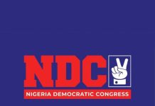 2027: NDC finally ratifies, endorses primary election results