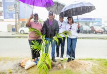ACAMB kicks off 30th Anniversary Celebration with tree planting