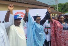 2027: Ogun PDP names veteran journalist, Yemi Sowunmi-Kolapo as deputy governorship candidate