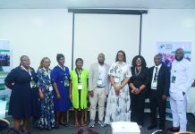 Maternal Health Experts Call For System Integration, PHC Investment To Reduce Deaths In Nigeria