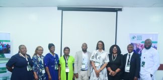 Maternal Health Experts Call For System Integration, PHC Investment To Reduce Deaths In Nigeria